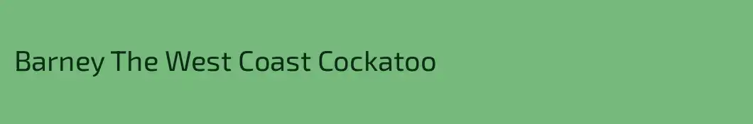 Barney The West Coast Cockatoo